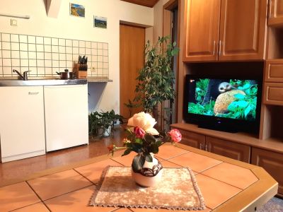 Ferienwohnung Wohnbereich